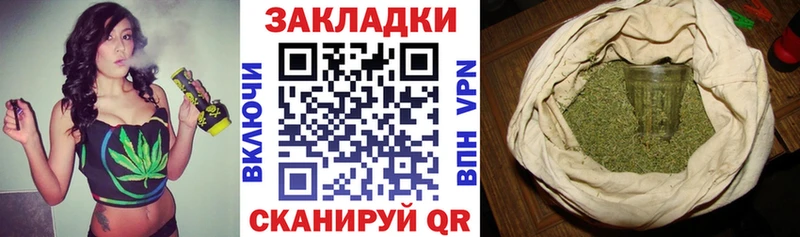 Где купить наркоту Каргополь ТГК  ссылка на мегу вход  Амфетамин  Гашиш  Бошки Шишки  MDMA  КОКАИН 