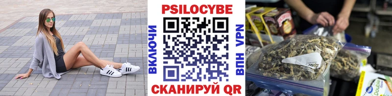 Псилоцибиновые грибы мухоморы  Каргополь 
